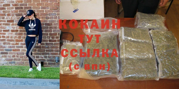 прущие крисы Аркадак