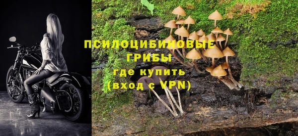 ПСИЛОЦИБИНОВЫЕ ГРИБЫ Армянск