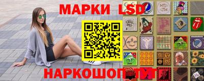 прущие грибы Заводоуковск