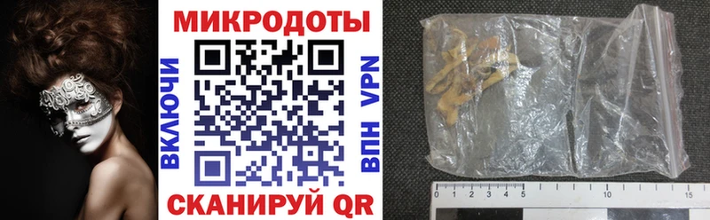 Псилоцибиновые грибы Psilocybine cubensis  где найти   Ленинск-Кузнецкий 