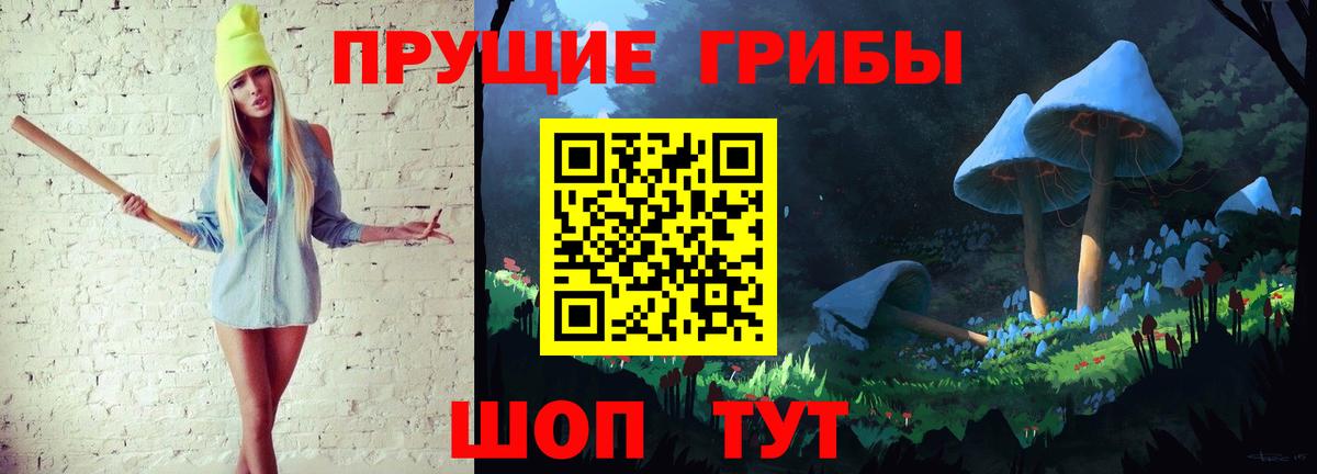 Псилоцибиновые грибы прущие грибы Ленинск-Кузнецкий