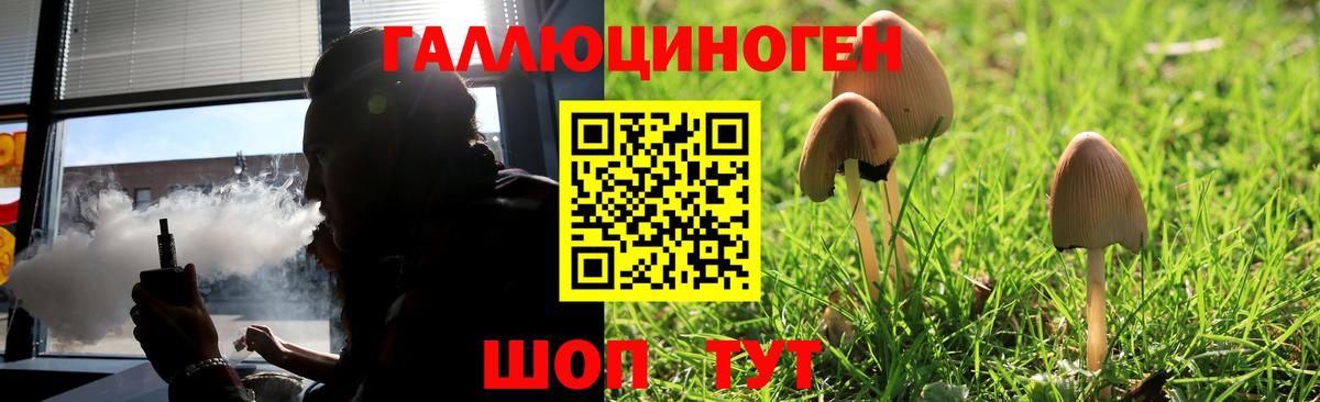 Галлюциногенные грибы Psilocybe  наркота  Псилоцибиновые грибы ЛСД  Ленинск-Кузнецкий  Вход с VPN 