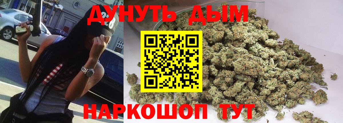 Конопля гибрид Ленинск-Кузнецкий